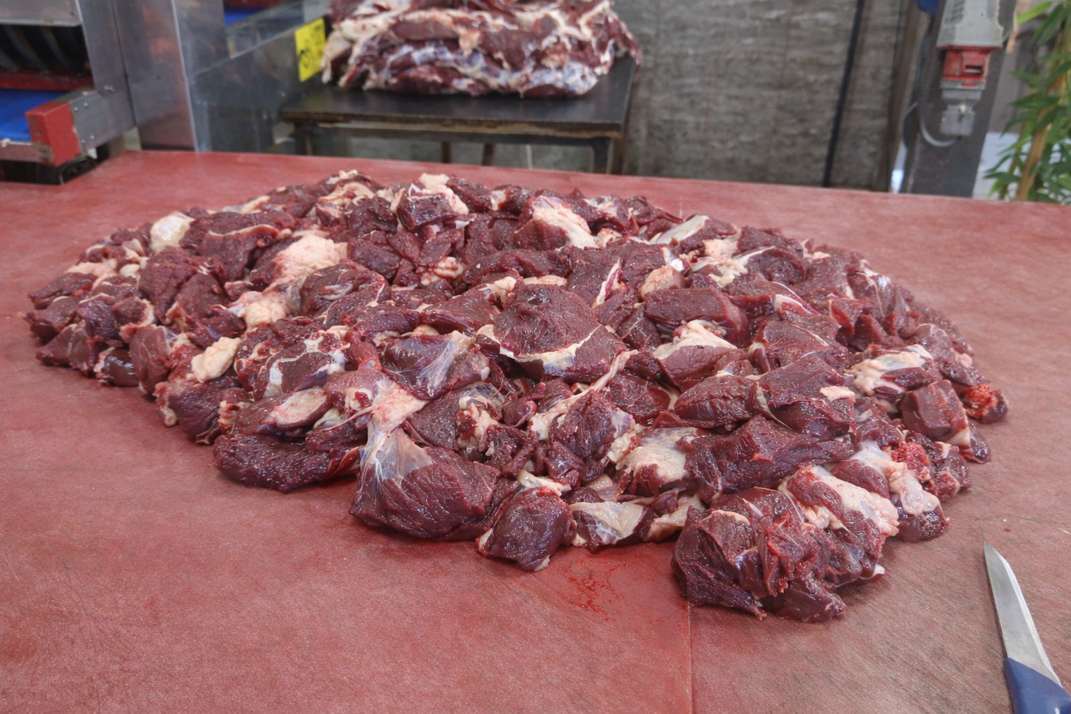 Adak Kurban Hayvanları